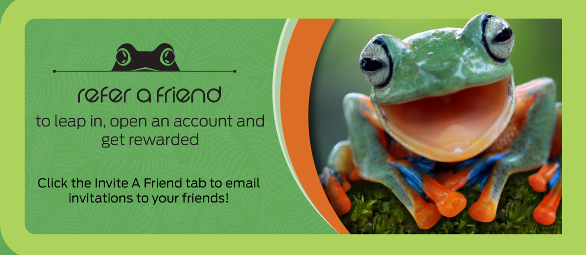 ICS Campaign ICS Campaign