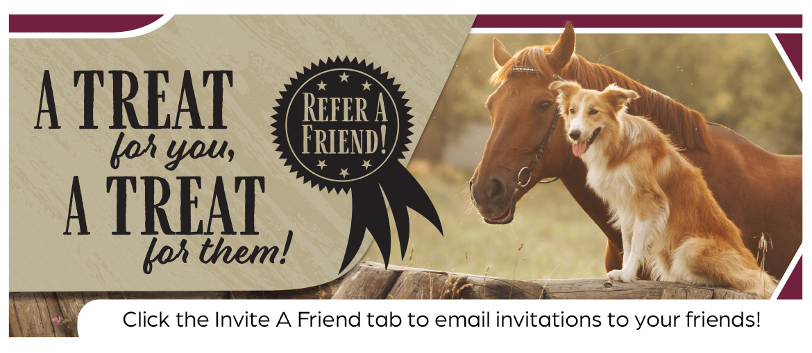 ICS Campaign ICS Campaign